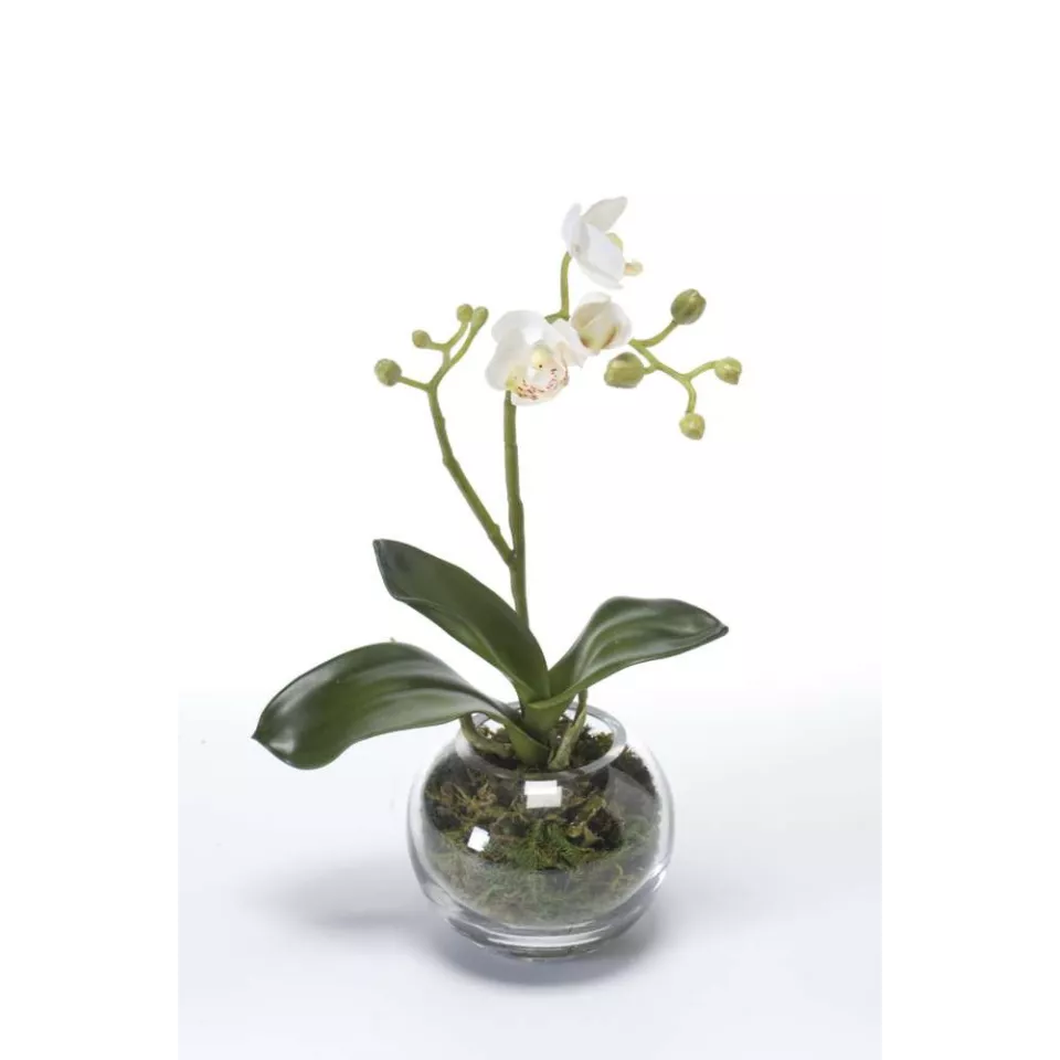 Phalaenopsis ORCHIDEE artificielle en pot verre 29 cm Compositions artificielles