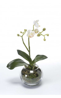 orchidée artificielle proposée par l'e-boutique Reflets Nature
