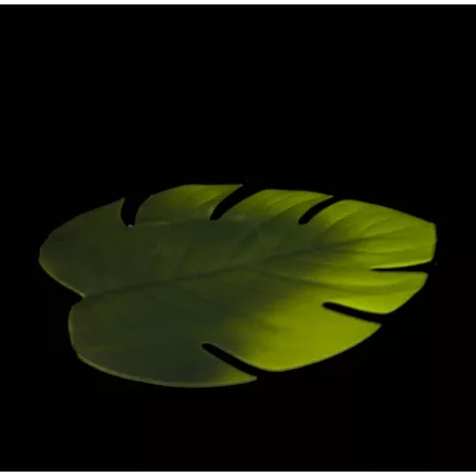 set de table feuille 64 x38 cm