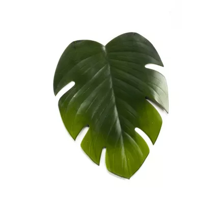 set de table feuille 64 x38 cm