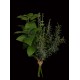 Herbes aromatiques BASILIC artificiel 25 cm