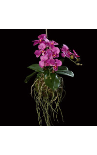 phalaenopsis ORCHIDEE artificielle à suspendre 46 cm