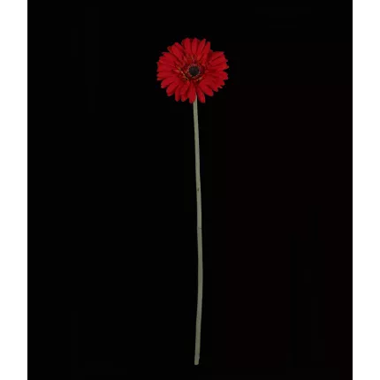 GERBERA artificiel rouge 64 cm avec sa tige