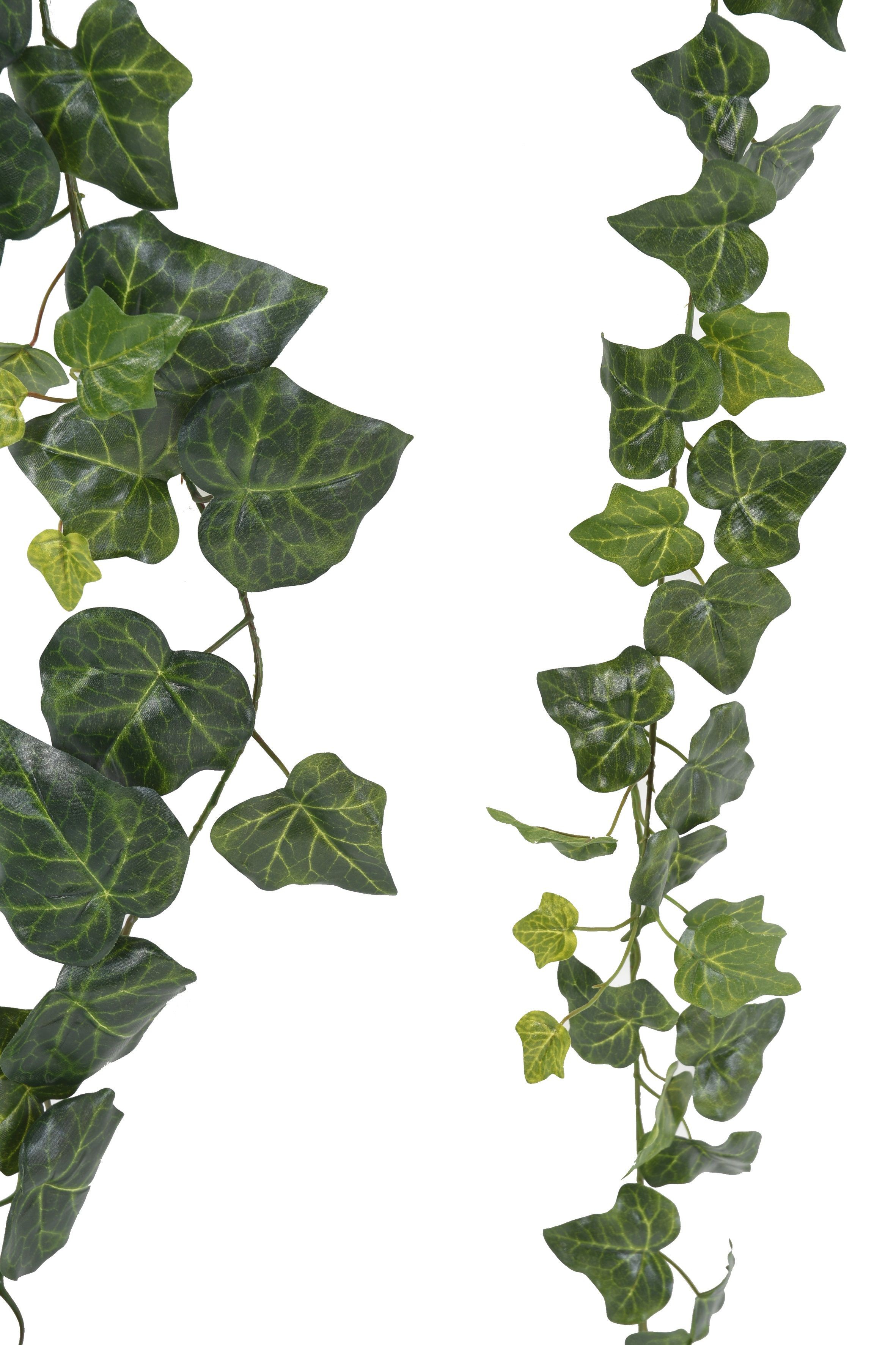 Guirlande lierre artificielle 180 cm (kit de 2 guirlandes) - guirlandes  végétales