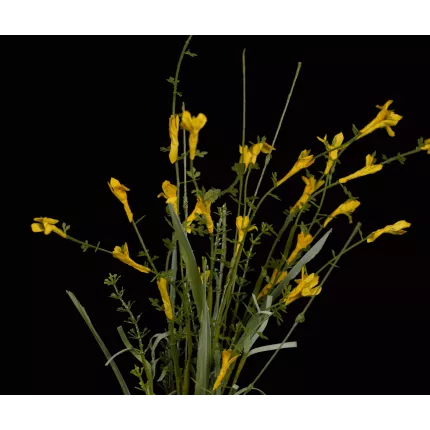 détails fleurs esprit GENET artificiel 51 cm