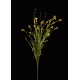fleurs esprit GENET artificiel 51 cm