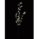 Branche de CERISIER 115 cm blanc