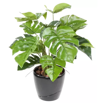 PHILODENDRON artificiel en pot 60 cm vu de dessus