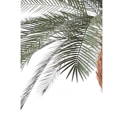 feuilles palmier PHOENIX artificiel plast tronc large  280 ou 340 cm