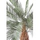 palmier PHOENIX artificiel tronc large 340 cm
