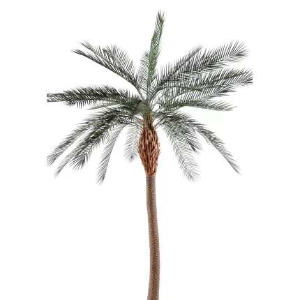 palmier PHOENIX artificiel tronc large  340 cm