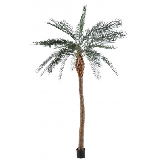 palmier PHOENIX artificiel tronc large 340 cm