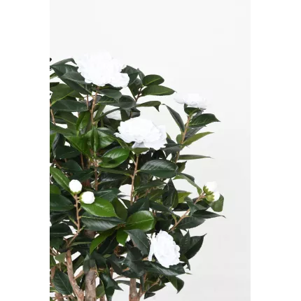 fleurs CAMELIA artificiel JAPONICA double 130 cm blanc