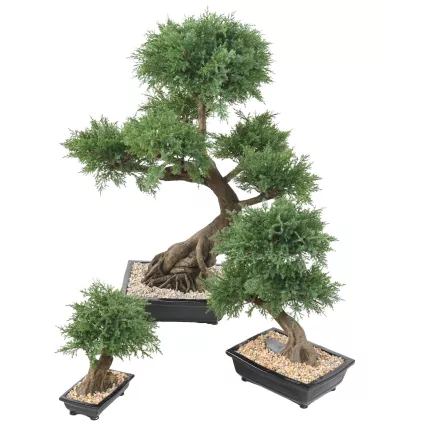 BONSAI artificiel JUNIPERUS en coupe  30 à 100 cm