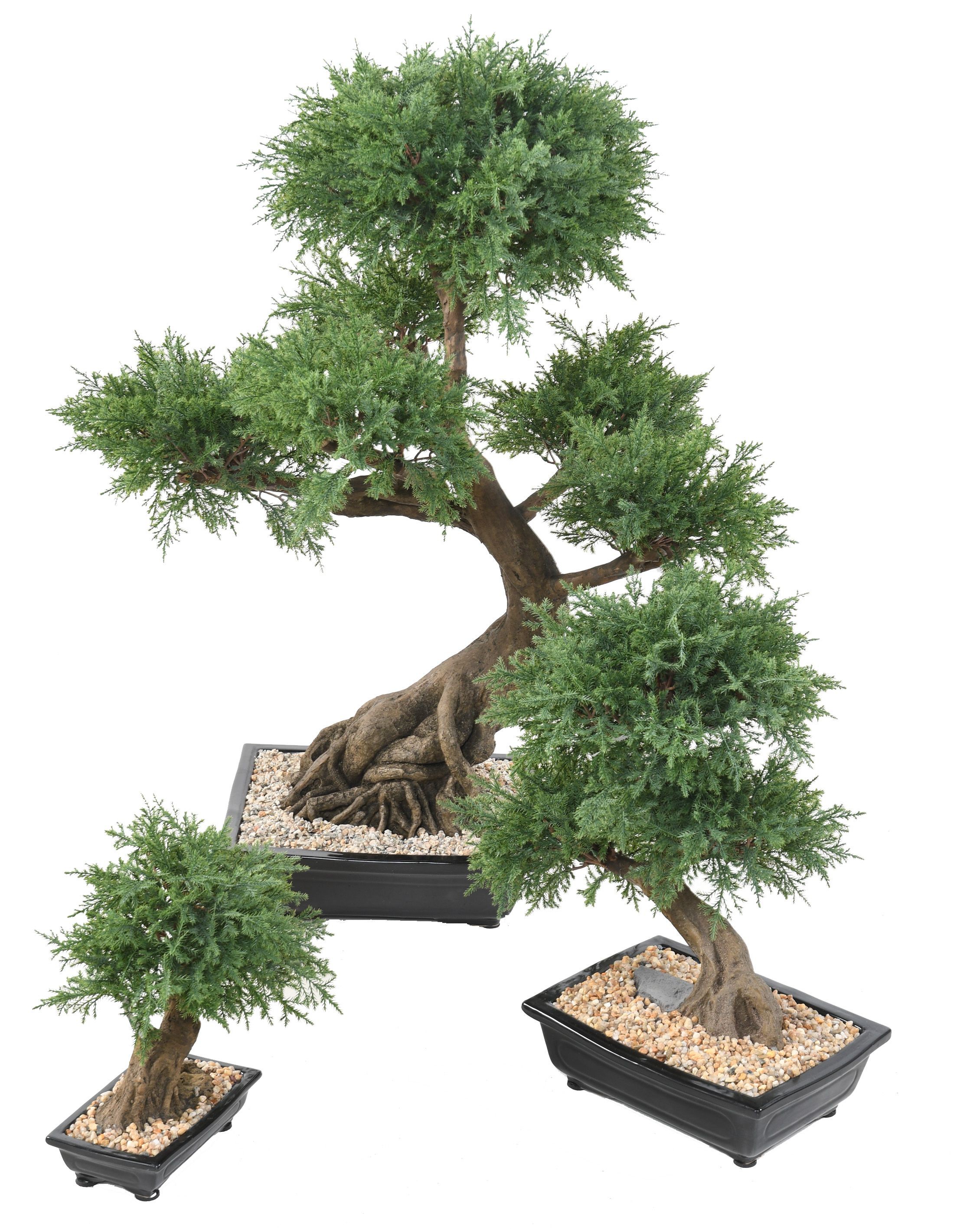 https://www.reflets-nature.com/10519/bonsai-artificiel-chinese-elm-en-coupe-41-cm.jpg