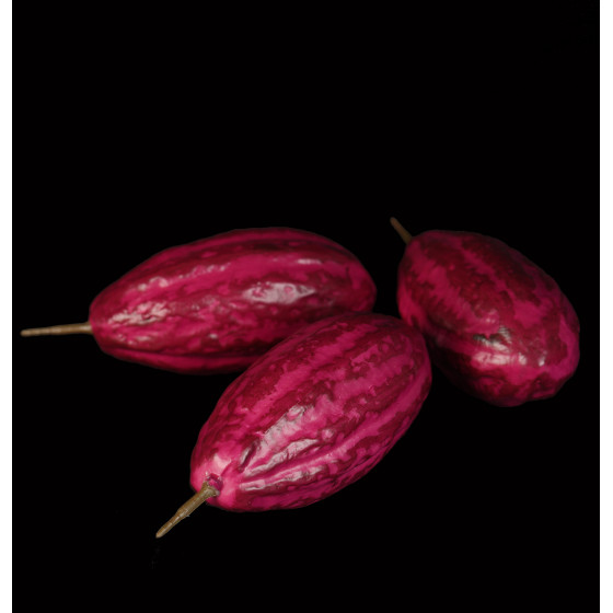 Cabosse cacao artificielle 17 cm