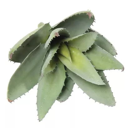 ALOE artificiel 30 cm couché