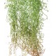 TILLANDSIA PLAST artificielle 90 cm vert/brun