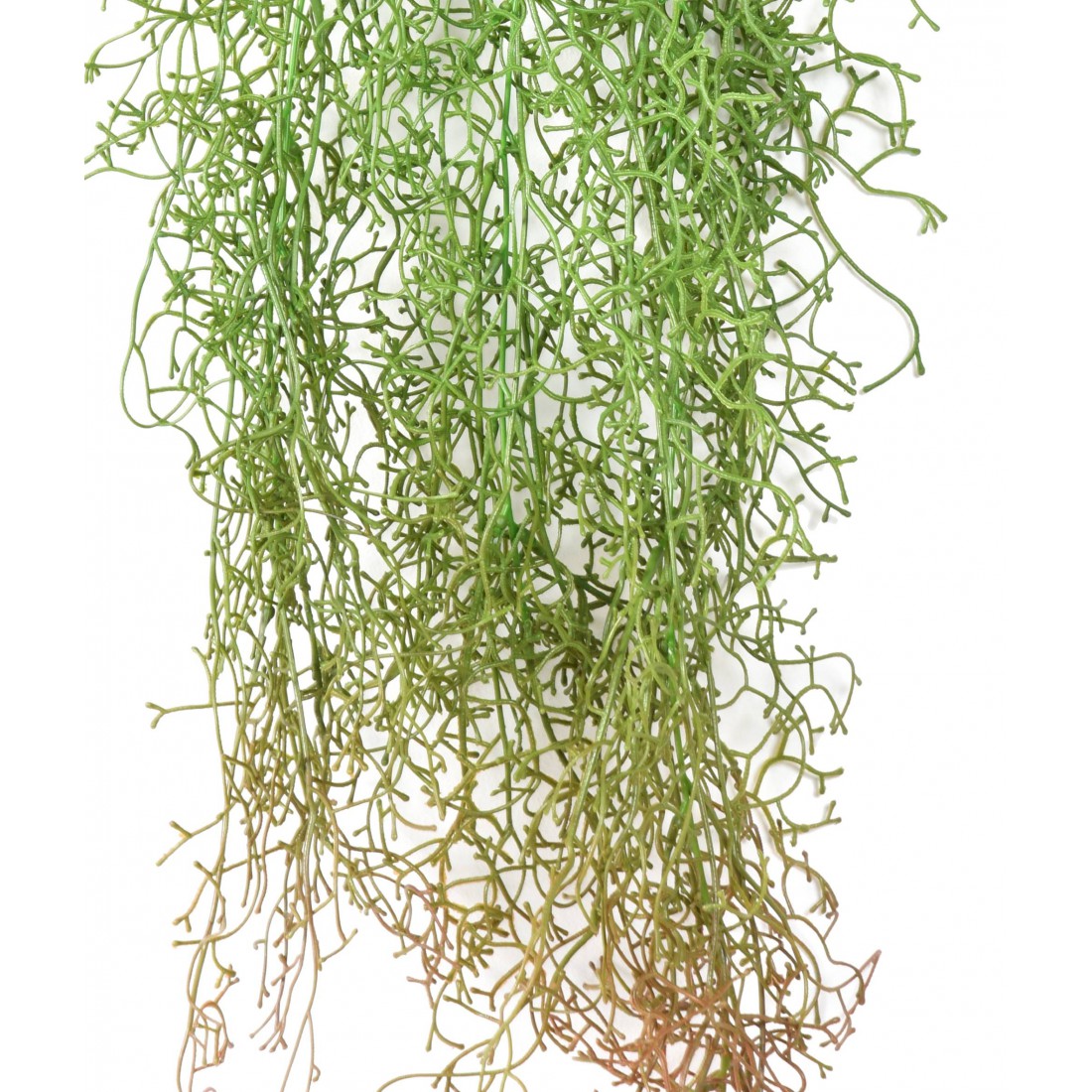 Tillandsia plast artificielle 90 cm - plantes pendantes et