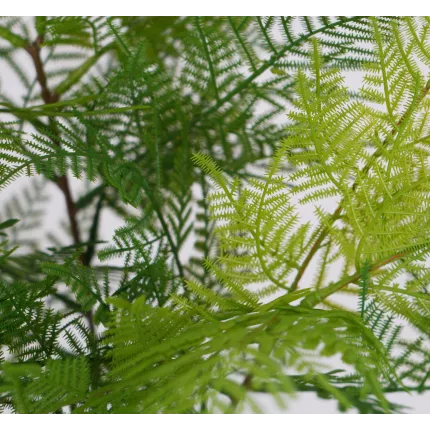 feuillage FOUGERE PLAST artificielle piquet 80 cm