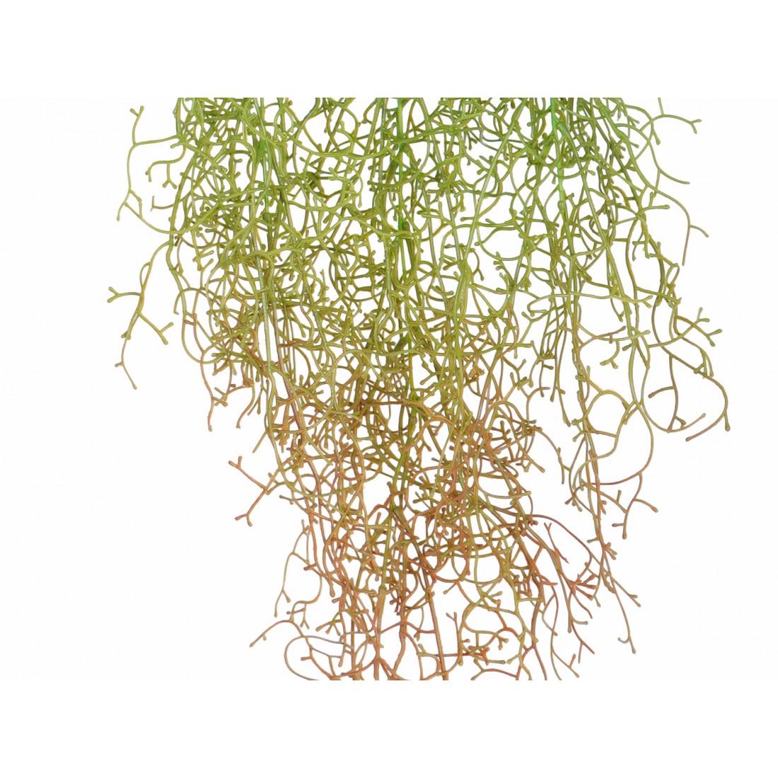 Tillandsia plast artificielle 90 cm - plantes pendantes et