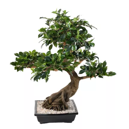 BONSAI artificiel FICUS en coupe 80 cm