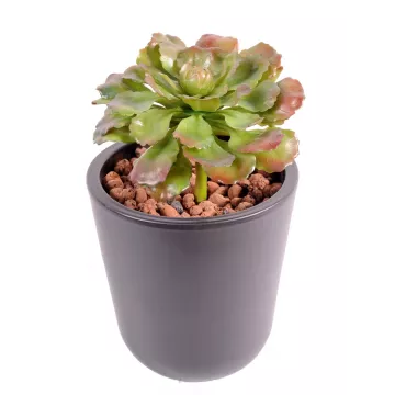 SUCCULENTE artificielle 17 cm en pot