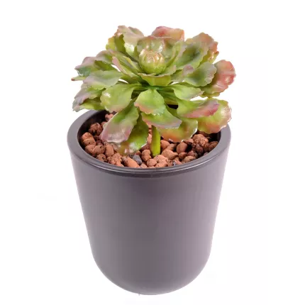 SUCCULENTE artificielle 17 cm en pot