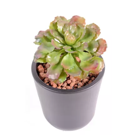 SUCCULENTE artificielle 17 cm
