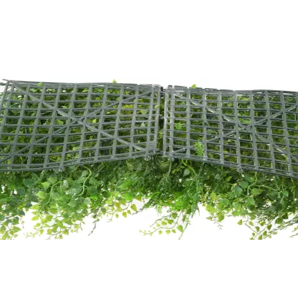 dos MUR fond fougère  50 x 50 cm