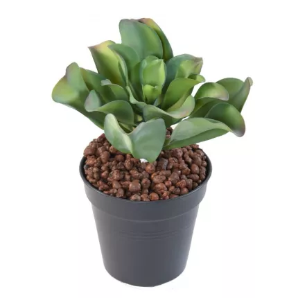 SUCCULENTE artificielle 20 cm en pot
