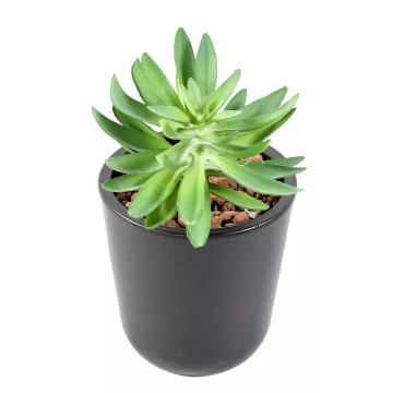 SUCCULENTES artificielles 20 cm diam 16 cm en pot