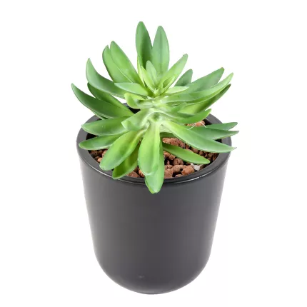 SUCCULENTES artificielles 20 cm diam 16 cm en pot
