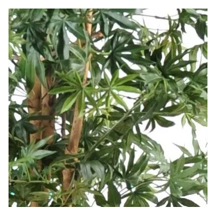 feuilles ERABLE artificiel DE LUXE