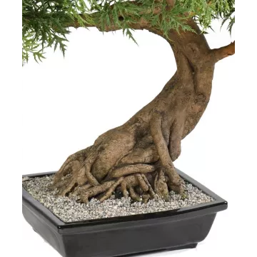pot et tronc BONSAI artificiel ARALIA 95 cm