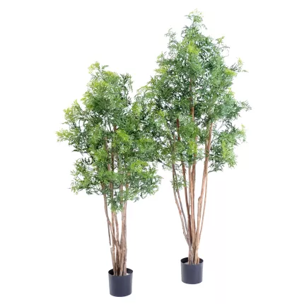 ARALIA artificiel MING NITIDA  150 et 180 cm