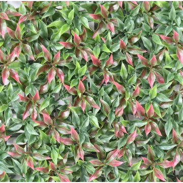 feuillage RUSCUS PLAQUE 29 cm x 29 cm