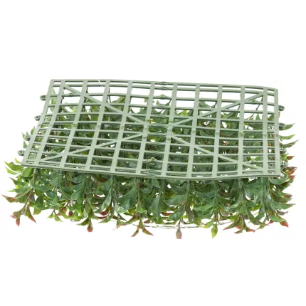 dos RUSCUS PLAQUE 29 cm x 29 cm