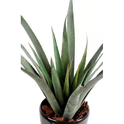 feuillage ALOE artificiel Ferox 65 cm