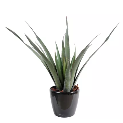 ALOE artificiel Ferox 65 cm en pot