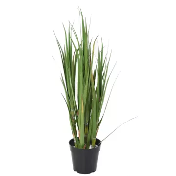 CANNE A SUCRE artificielle 75 cm