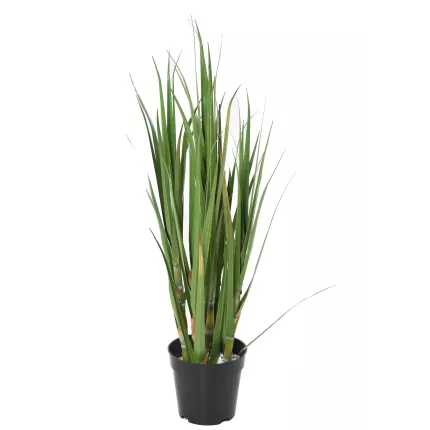 CANNE A SUCRE artificielle 75 cm