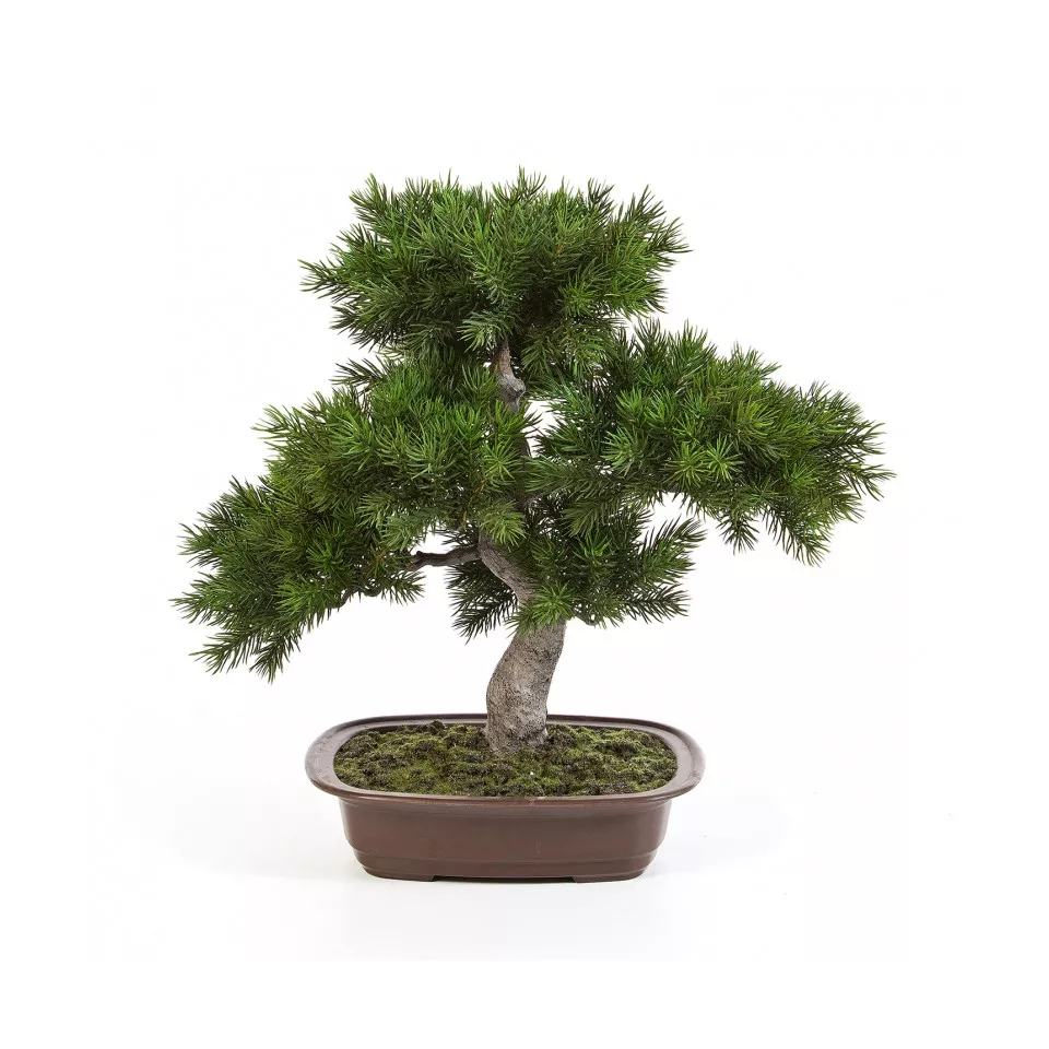 BONSAI pin artificiel  48 cm