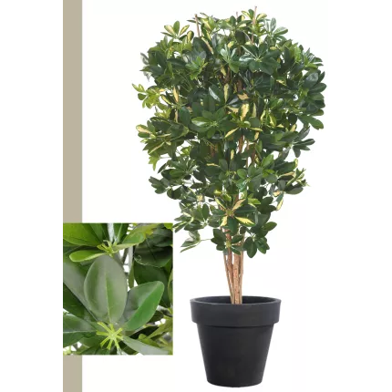 SCHEFFLERA artificiel vert ou vert/jaune 110 et 150 cm
