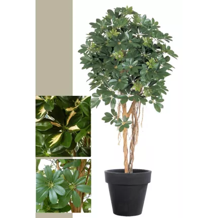 SCHEFFLERA artificiel parasol ou arbre parapluie 110 à 170 cm