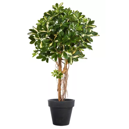 SCHEFFLERA artificiel parasol ou arbre parapluie vert crème en pot