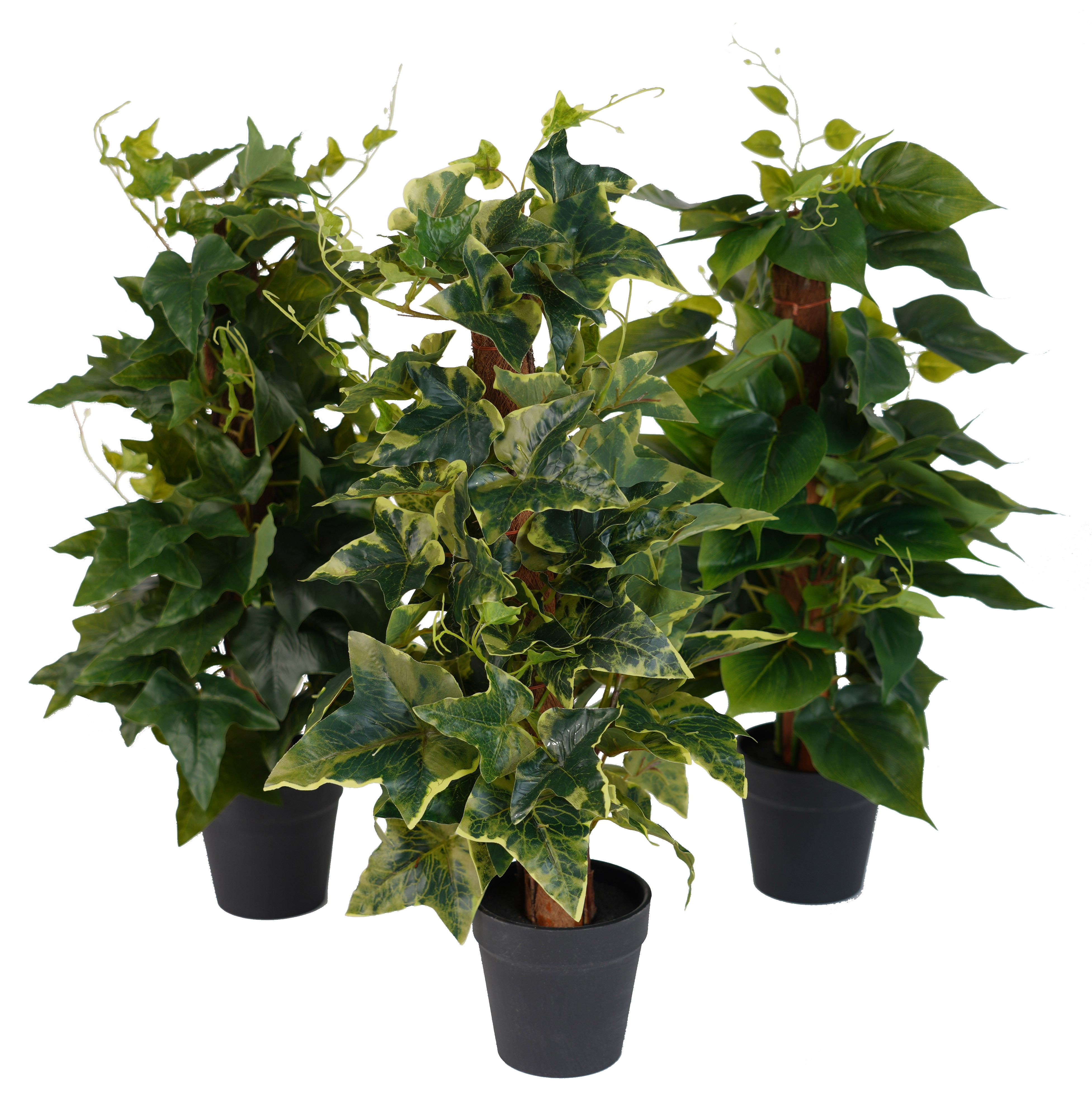 Mini plante grimpante artificielle 45 cm sur tuteur coco - mini plantes |  Reflets Nature