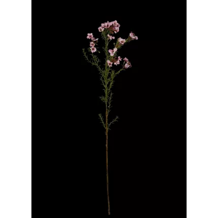 WAX artificiel ou fleur de cire rose 65 cm