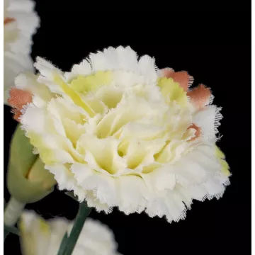 fleurs piquet OEILLET artificiel ou DIANTHUS artificiel crème 48 cm