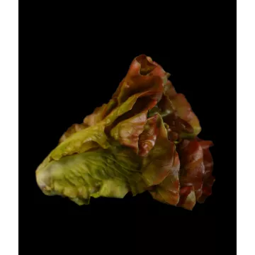 Salade LAITUE artificielle verte ou brune 16 cm